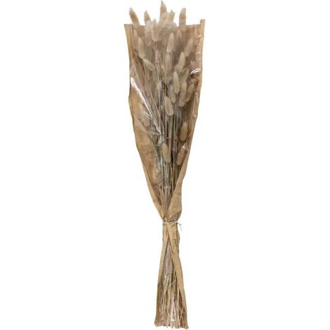 Bouquet de Fleurs "Queue de Lapin" 58cm Ivoire (1/2)