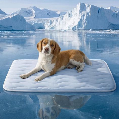 Tappetino rinfrescante extra large per cani - Q-Max0,4 Cuscino sottile, traspirante e freddo per gabbia per animali domestici con fibra rinfrescante - Lavabile (1/5)