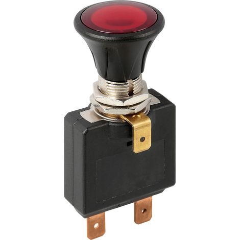 Interruttore tira-spingi con spia a Led - 12/24V - 50A (1/3)