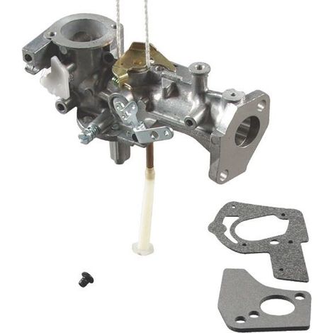 Vergaser für Motorhacke mit Briggs und Stratton Motor - 495459