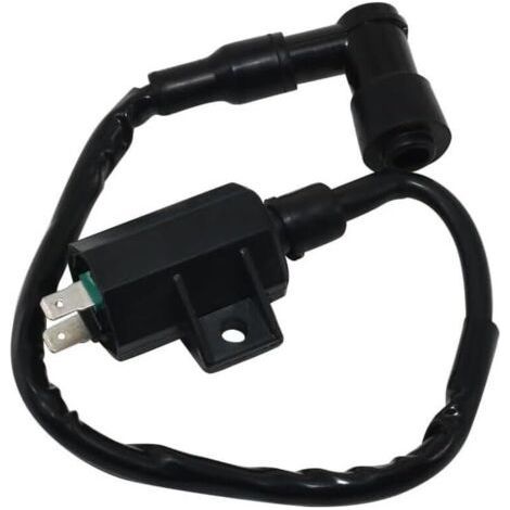 High-voltage ignition coil compatible with/replacement for Kaawwaassaakkii ATV 21121-1160 21121-1198 KLF220 (1/4)