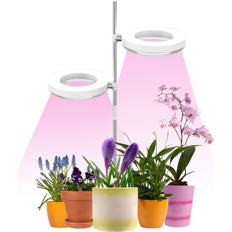Lampe horticole d'intérieur pour petites plantes, mini lampe LED à spectre complet, lampe de bureau, hauteur réglable, avec IPL et lumière du soleil, disponible en version simple et double. (1/5)
