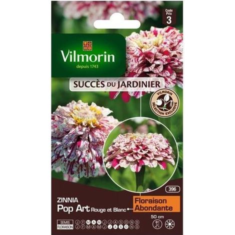 Sachet graines Zinnia Pop Art