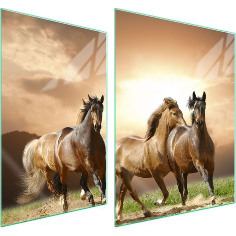 GLASSCHUTZPLATTE FÜR HERD 70x52 PFERDE (1/5)