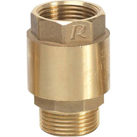 Clapet Anti-Retour 1 po - Laiton - Sortie M - Entrée F - Protection Contre les Retours de Fluide - D-Work
