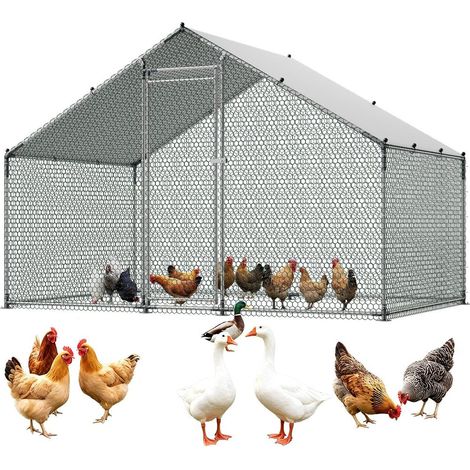 Pour poules, canards et lapins, enclos extérieur 3 x 2 x 2 m pour jardin ou ferme, structure acier galvanisé (1/5)