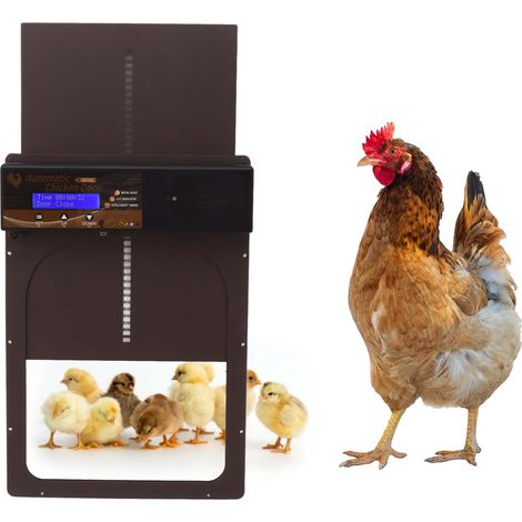 Porta automatica per pollaio, Porta automatica per pollaio in alluminio ad energia solare 35x24,3 cm con luce sensore LED, telecomando, protezione IP45, 10 viti, 2 staffe, Porta automatica per pollaio (1/4)