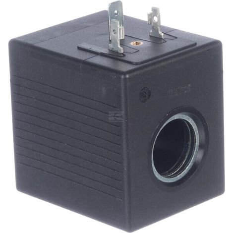 Spule 24 VDC BQP19 24V WALVOIL PP9BQP1924