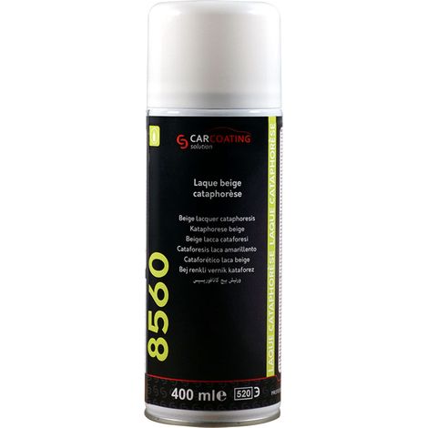 Laque Cataphorèse Anti-corrosion D-8560 Beige pour Carrosserie Automobile (1/3)