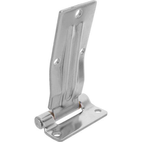 Charnières de Trappe en inox Argenté (1/5)