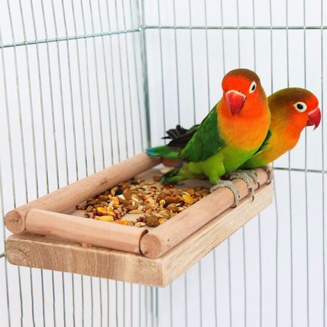 Plateforme Perchoir en Bois pour Oiseaux Support de Cage avec Mangeoire et Bordure pour Perruches Canaris Inseparables (1/4)