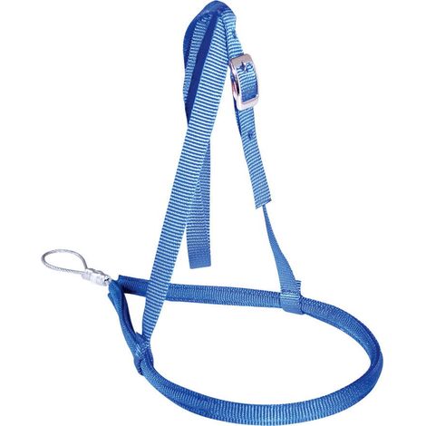 Rosso - Nose band in nylon con anima in acciaio