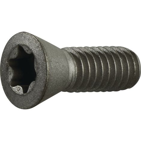 Vis de serrage Gr.T20 pour TCMT 16/SCMT 12 pour fraise à chanfreiner TECWERK (1/2)