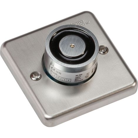 Dormakaba 500G Haftmagnet für Türen mit Grundplatte für Feststellanlagen, Edelstahl-Effekt (1/4)