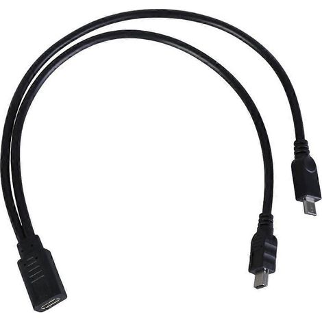 Câble d'alimentation USB-C vers USB, répartiteur USB Type-C femelle vers USB mâle, 30 cm