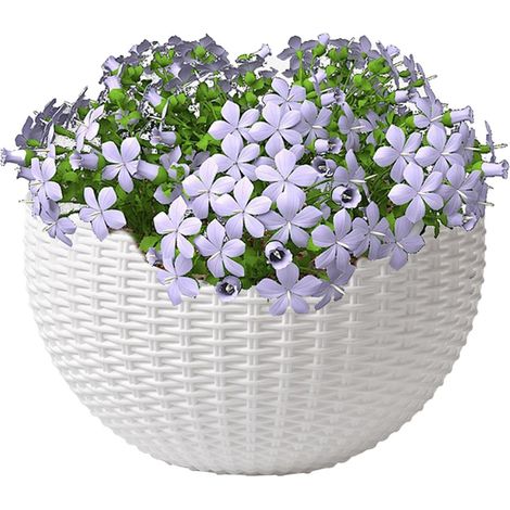 Pot de fleurs mural - 20,5 cm, Pot mural en rotin synthétique pour plantes Pot semi-circulaire respirant pour plantes d'intérieur, idéal pour porche, appartement, balcon, jardin ou clôture (1/5)
