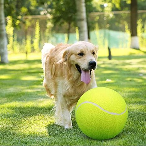 Ballon Pour Chien - Ballon De Tennis Surdimensionné 25 Cm - Jouet Interactif Extérieur Intérieur - 1 Pièce (1/5)