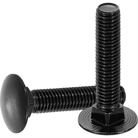 (304) Boulons à tête ronde et collet carré en acier inoxydable pour la fixation de raccords (paquet de 10, M10 x 50 mm, noir) (1/5)