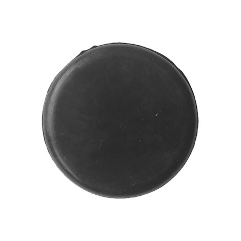 TAPPO PARAFANGO POSTERIORE - DAF - XF 95 1a - 2a Serie - 0066608 - 42533495 - 42559052 - 5000748563
