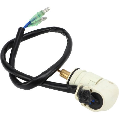 Ensemble Démarreur Moteur Hors-Bord 4 Temps 20HP 25HP avec Carburateur (1/5)