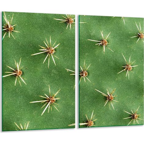 Tabla de cortar de vidrio 2x 30x52 cactus (1/5)