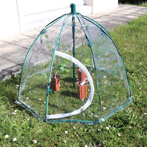 Mini-serre cloche déployable 110x75 cm – Système parapluie pratique (1/4)