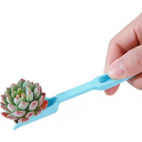 Ensemble de 4 outils de jardinage ergonomiques, bleus, pour repiquage de succulentes, perçage et épandage de substrat (1/3)