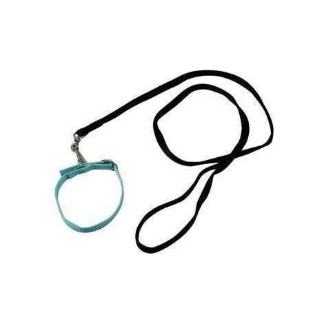 Laisse pour chiens en nylon Blinky avec boucle de 1,5 cm / section cm. 150 (1/2)