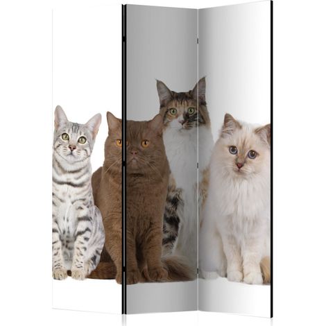 Paravent 3 Volets "Sweet Cats" 135x172cm (1/2)