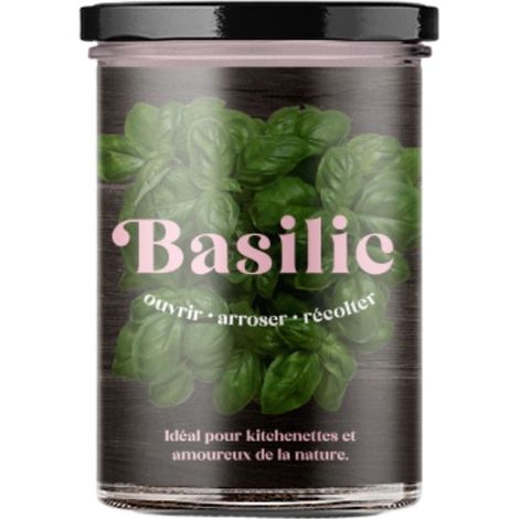 Potager de basilic pour la cuisine (1/5)