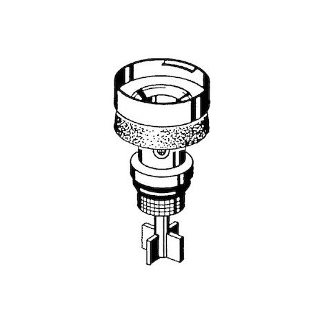 Piston Schell 293710099