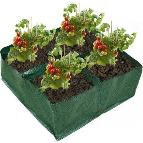 Grow Bags - Unspecified - Square Shape - Fabric - 4 Compartments - Built-in Drainage System (1/4)