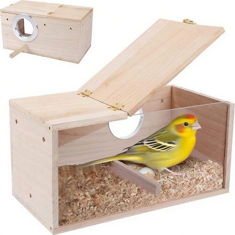 Nichoir pour perruches, perroquets, avec couvercle à charnière, en bois massif, design transparent, pour perroquets, exotiques et oiseaux d'ornement (19,5 x 12 x 12 cm) (1/5)