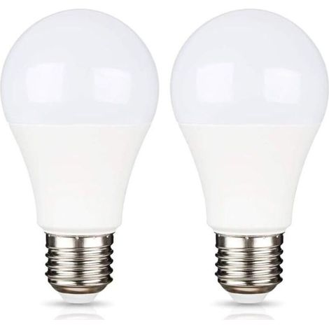 E27 9W 12V LED Blanc Froid 6500K pour Camping, Équivalent Halogène 75W, Ampoule LED AC DC 12 Volt 24 Volt E27 pour Pannneau Solaire/Garage/Jardin, non-dimmable, lot de 2 [Classe énergétique A+] (1/5)