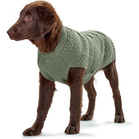 Maglione per Cani Hunter Malmö Verde (1/5)
