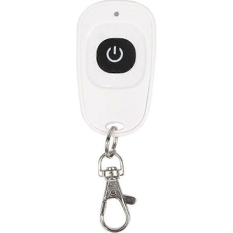 Émetteur de télécommande sans fil RF 1 à 4 canaux 433 MHz EV1527 pour rideaux - 1 bouton - 433 MHz (1/5)