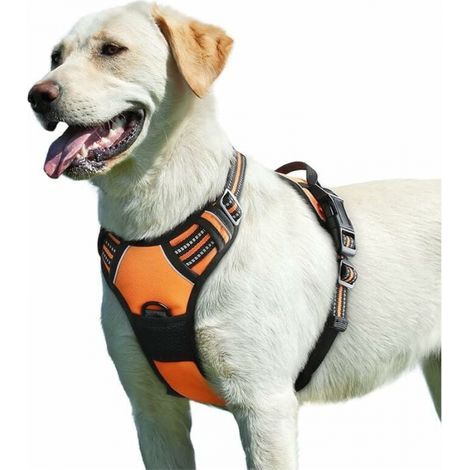Pettorina arancione per cani, regolabile, riflettente, antistrappo, facile da indossare, con maniglia di controllo, traspirante, resistente, adatta a cani di taglia media e grande, XL (1/5)