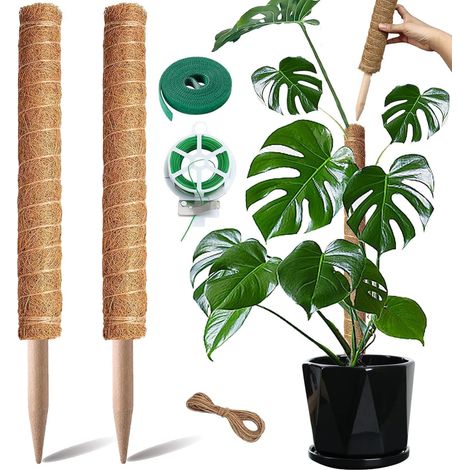 Support pour Plantes grimpantes - Facile à rallonger - Aide à l'escalade idéale pour Les Plantes d'intérieur - pour Plantes grimpantes - Tige en Coco Naturel (Brown-40) (1/5)