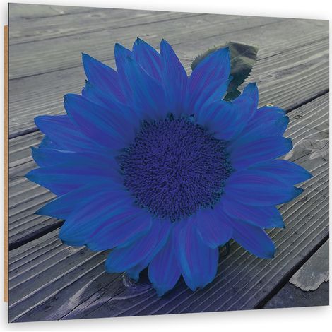 Quadro deco panel, Girasole blu - 50x50 (1/5)