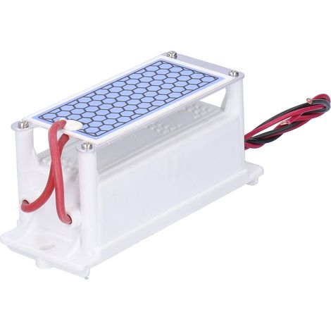 Générateur d'ozone 5 g pour la désinfection et la purification de l'air, 110 V CA (1/5)