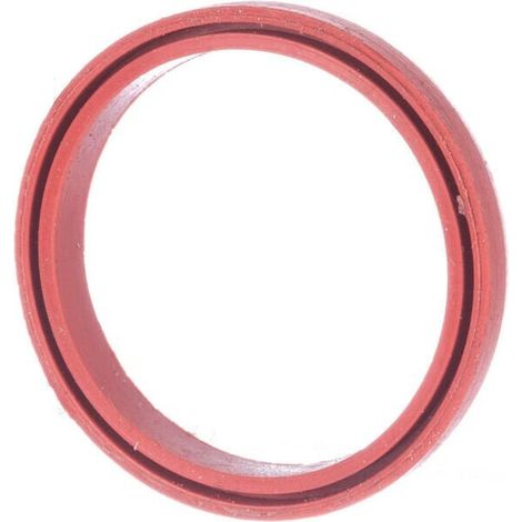 Goma para barra empuj. v谩lv. LOMBARDINI 4740024