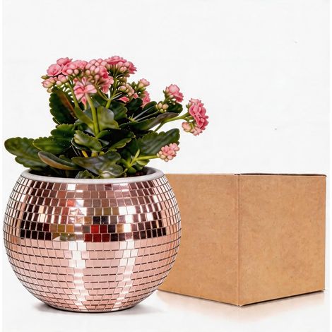Pot de Fleurs Boule de Disco Rose Dorée, Vase Boule de Disco, Pot de Plantes, Pot de Fleurs, Support de Plantes à Miroir, Pot de Fleurs Auto-Arrosant en Plastique pour Petite Plante, Décor de (1/5)