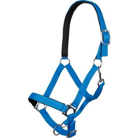 Ponyhalfter, gepolsterter Nasenriemen, silberfarbene Beschläge, gefüttertes Kopfstück, Anfängerreitset (1/4)