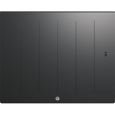 Radiateur electrique Fonte chaleur douce KENYA 5 Horizontal 1250W Gris - THERMOR 414735 (1/5)