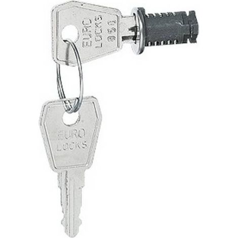 SERRURE AÂ  CLÉ N° 850 - POUR COFFRETS PLEXO LEGRAND (1/5)