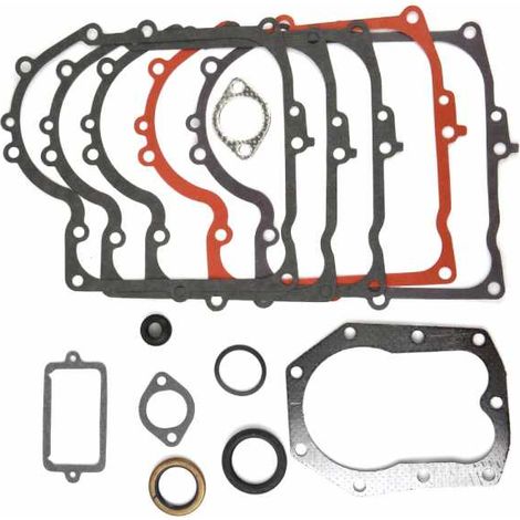 Kit de joints pour moteur Briggs & Stratton. N° origine 494241 (1/2)