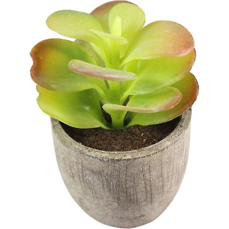 1 plante grasse artificielle
