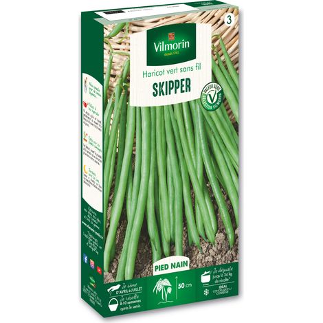 Vilmorin – Haricot nain vert Skipper – Variété rustique – Gousses droites 12-13 cm – Résistant au froid et à l'humidité – Recommandé pour congélation (1/4)