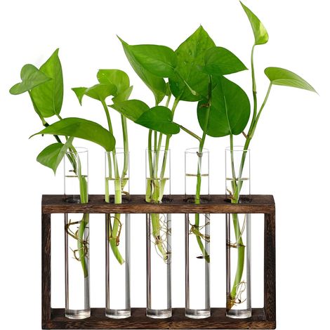 Glass Vase with Test Tube, Creative Wooden Frame, Ornaments, Hydroponic Plant Container, Office Home Decor - COOCHEER (1/5)