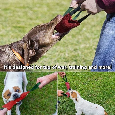 Boudin Chien Indestructible de 40 cm avec 2 Anses, Jouet pour Chien en Tuyaux De Lance À Incendie, Boudin À Mordre Extra Robuste. (1/5)